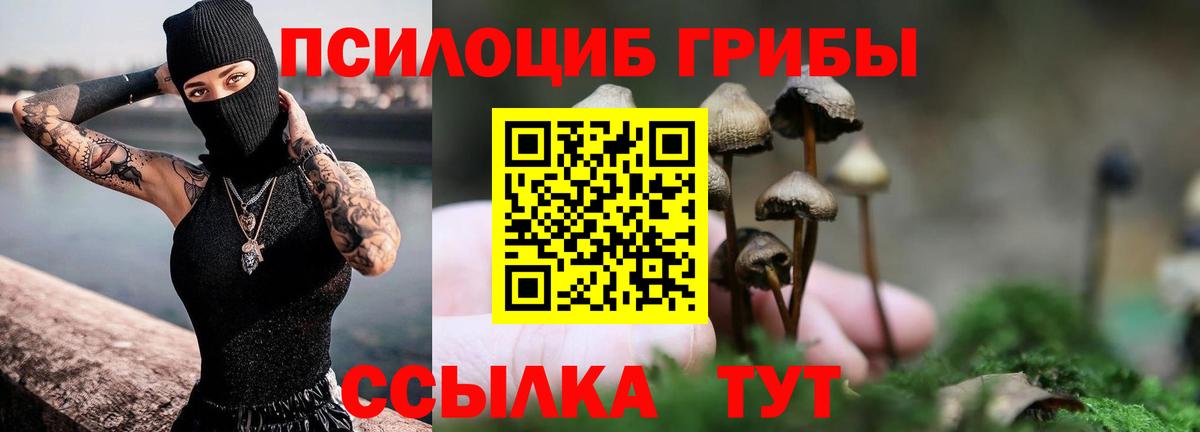 Галлюциногенные грибы Psilocybine cubensis  Галлюциногенные грибы прущие грибы  Железноводск  Вход с VPN 